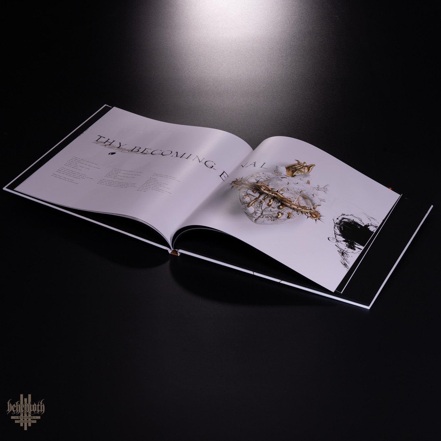 Corona Vinyl record limited