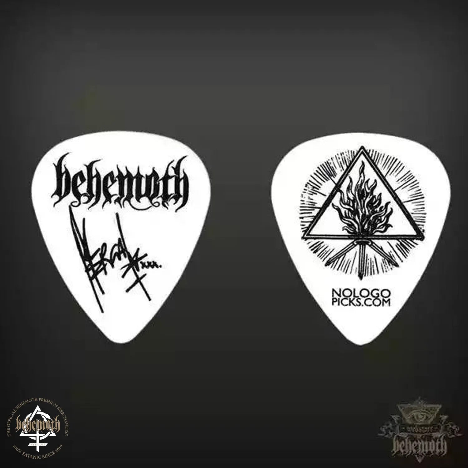 A plastic guitar pick Nergal signature - white